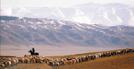 Herders hope for greener pastures with new schedule