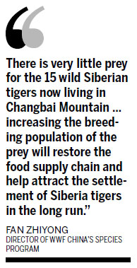More than 30 deer released to appease China's tigers