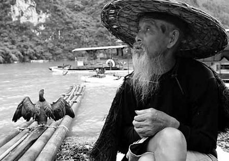 Enterprising villagers lure visitors with comorants