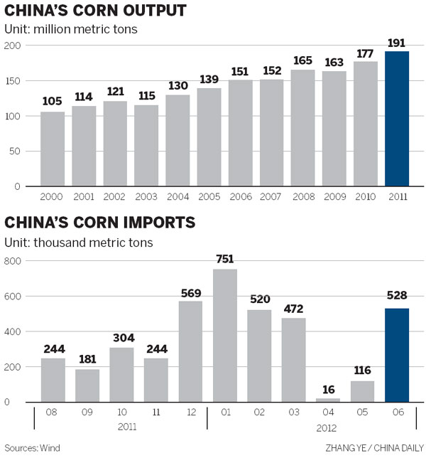 Expert: Pest attack to have little effect on corn production