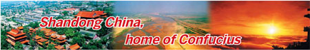 Shandong feels a boost from rising number of expat experts