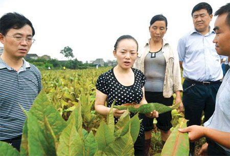 Quality of local life on the rise