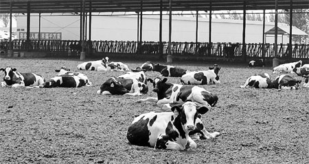 Rules promote livestock rights
