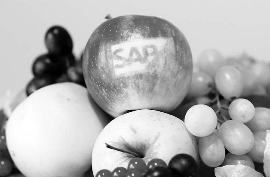 SAP identifies a fruitful market