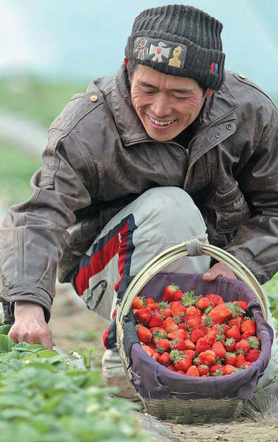 Family farms planting seeds for prosperity
