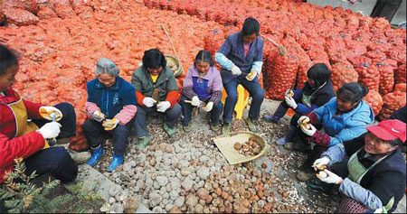 Economic transformation bears fruit in Guizhou