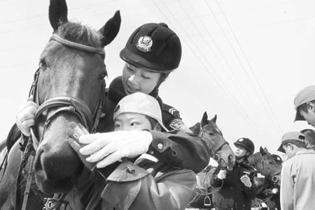 Smart money on horseplay