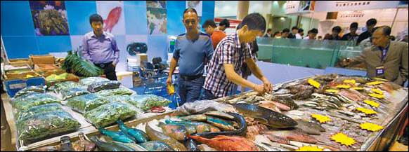 Seafood businesses flounder amid cut in luxury spending