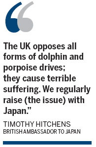 Dolphin hunts continue in Japan