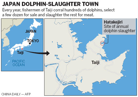 Dolphin hunts continue in Japan
