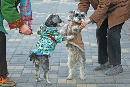 Winter in Beijing