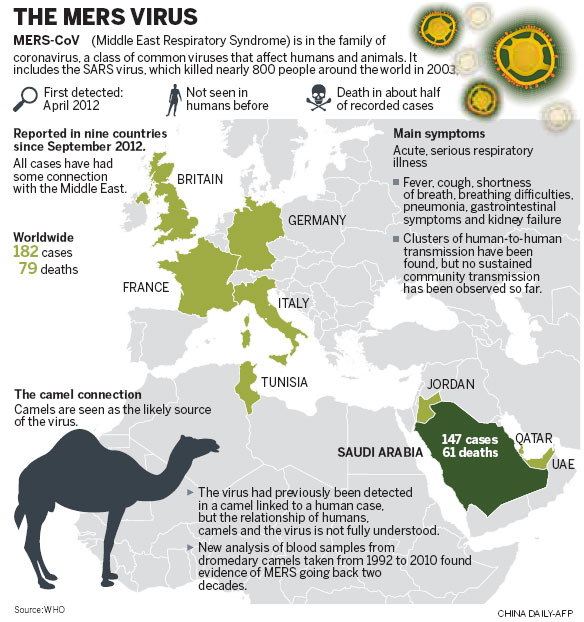 Deadly camel virus may jump to human beings, study shows