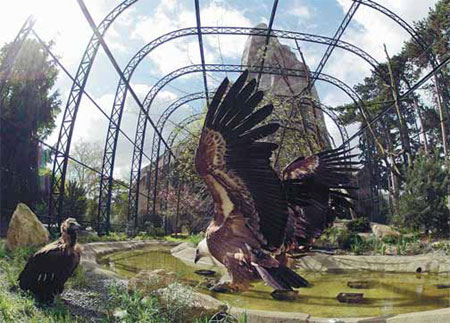 Zoo puts tradition out to pasture