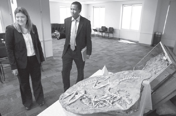 Dinosaur skeletons returning home to Mongolia