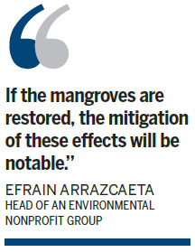 Cuba looks to replenish mangroves