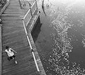 On the web