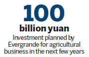 Evergrande is sowing seeds for future growth