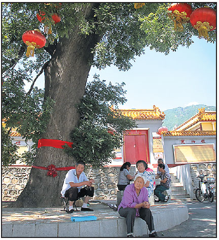 Beijing Life Through Foreign Eyes