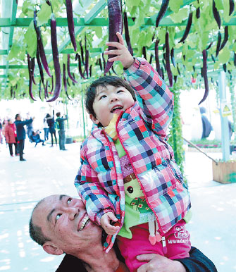 Richer harvest expected from growing agricultural cooperation