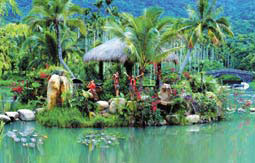 Colorful Life in Hainan