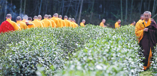 Steeping the leaves