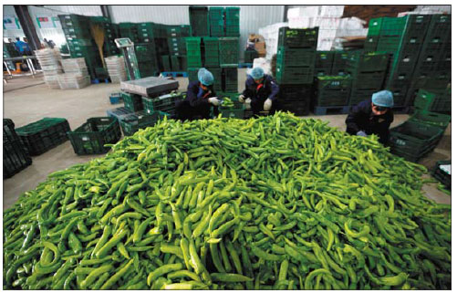 Bayer helps grow higher quality, safe vegetables