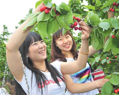 Wulongkou makes full use of location and its resources