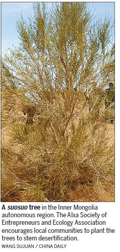 Program intends to reclaim desert land