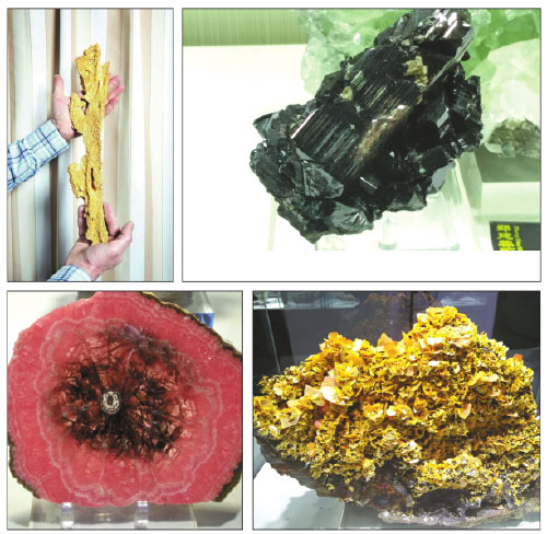 Exhibition to shine light on Chenzhou's resources