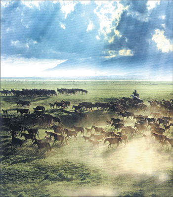 Greener pastures