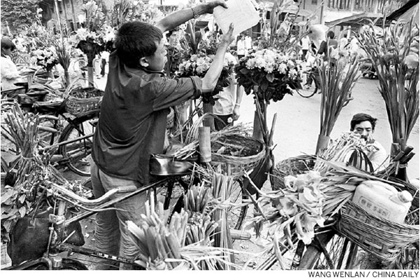 A moment in time: Floral fancies