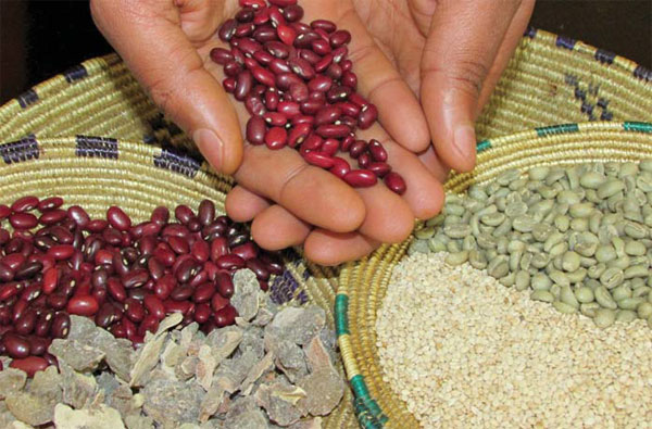 Ethiopia: Growing and transforming at speed