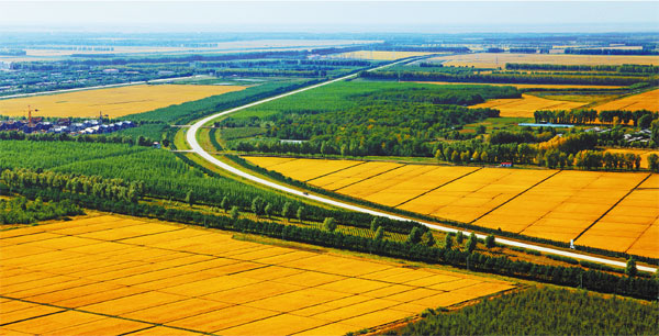 Heilongjiang's fertile online strategy