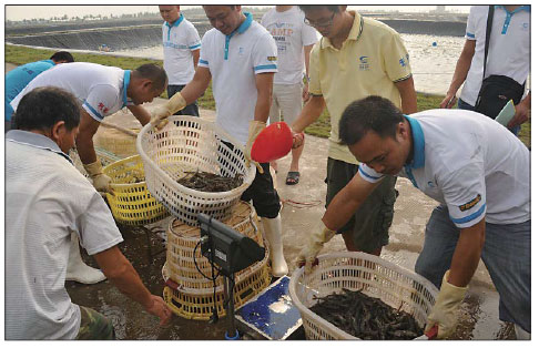 Guolian takes seafood to world markets - China