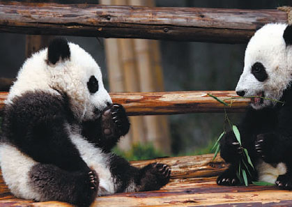 Laid-back Chengdu peps up for UN summit