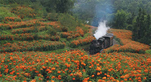 Sichuan's sacred land hosts tourism expo