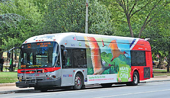 Washington prepares scenic welcome to Xi