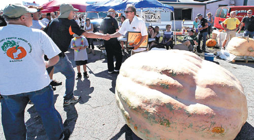 How do you grow a pumpkin the size of car? It's complicated