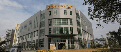 Sino-foreign projects planned for district
