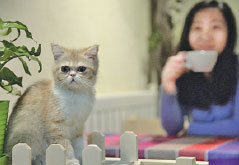 On chinadaily.com.cn
