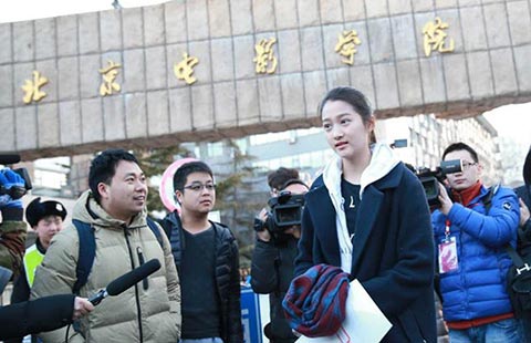 Purebreds put best paws forward for title - Chin