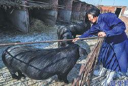 On chinadaily.com.cn
