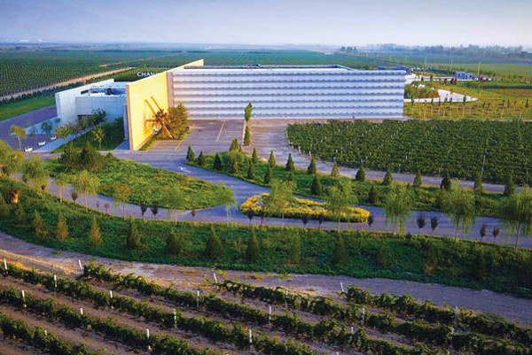 Expo, pilot zone aid in economic development