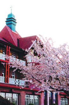 Shinan: A picture-perfect urban area with historical touches
