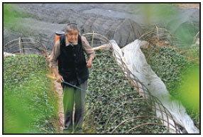 On chinadaily.com.cn