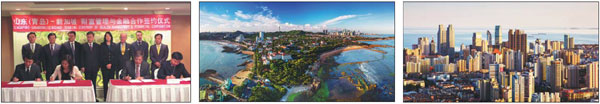 Qingdao's financial industry thriving after reforms