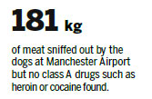 Sniffer dogs only good at finding sausages, not drugs