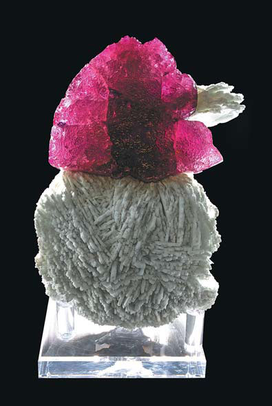 Chenzhou's hidden gem reveals riches to world