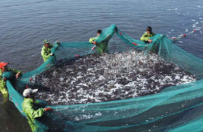 City showcases its aquatic products