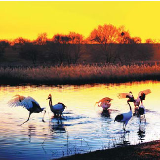 Province builds for ecologically sound future